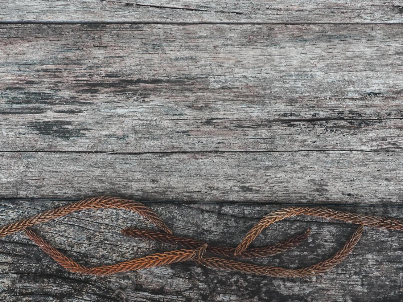 Brown dry pine leaves on old wood for a retro style background. photo