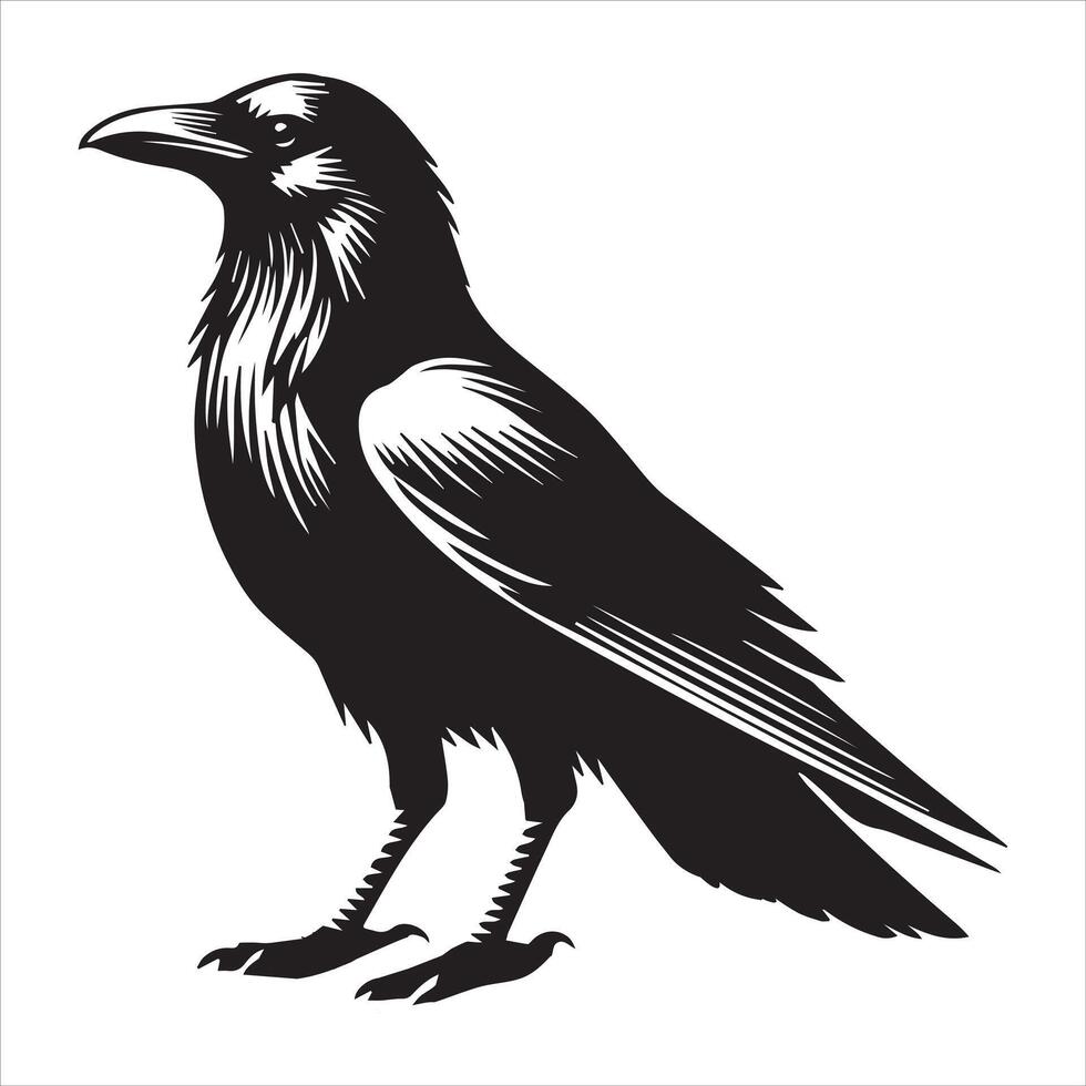Silhouette icon Design of a Crow vector