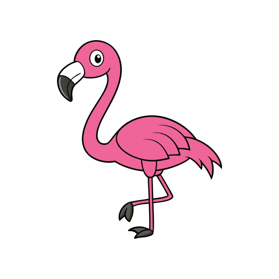Flamingo Bird Clipart - Cute and Colorful Flamingo Illustration vector