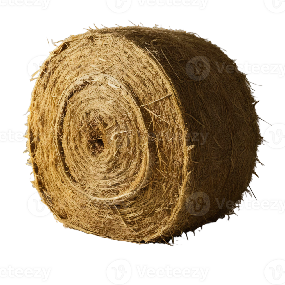 A roll of hay is shown on transparent background png