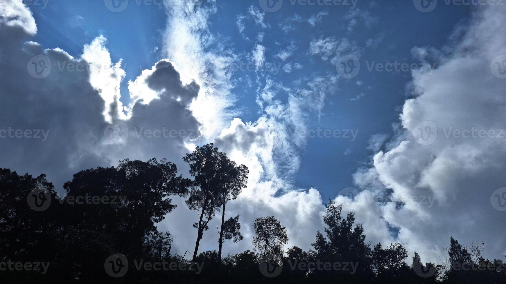 Bright blue sky with thick clouds dominating the view. The silhouettes of tall trees add a dramatic touch to the photo, creating a majestic and serene atmosphere in the open nature. photo