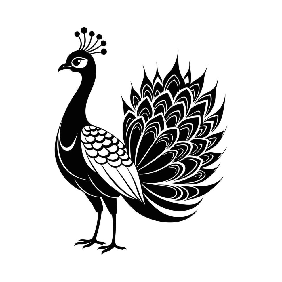Indian Peafowl Silhouette - Black and White Peacock Bird Illustration vector