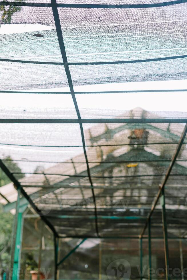Greenhouse with black shade netting and metal frame, soft sunlight filtering through photo