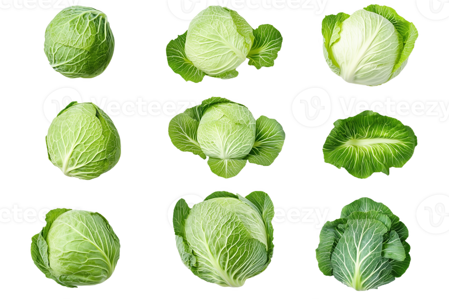Vibrant green cabbages arranged artistically from above png