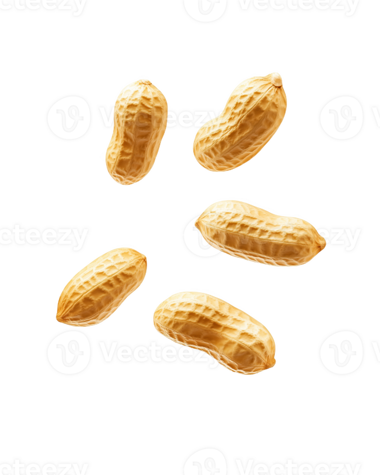 A collecti of realistic peanuts kitchen png