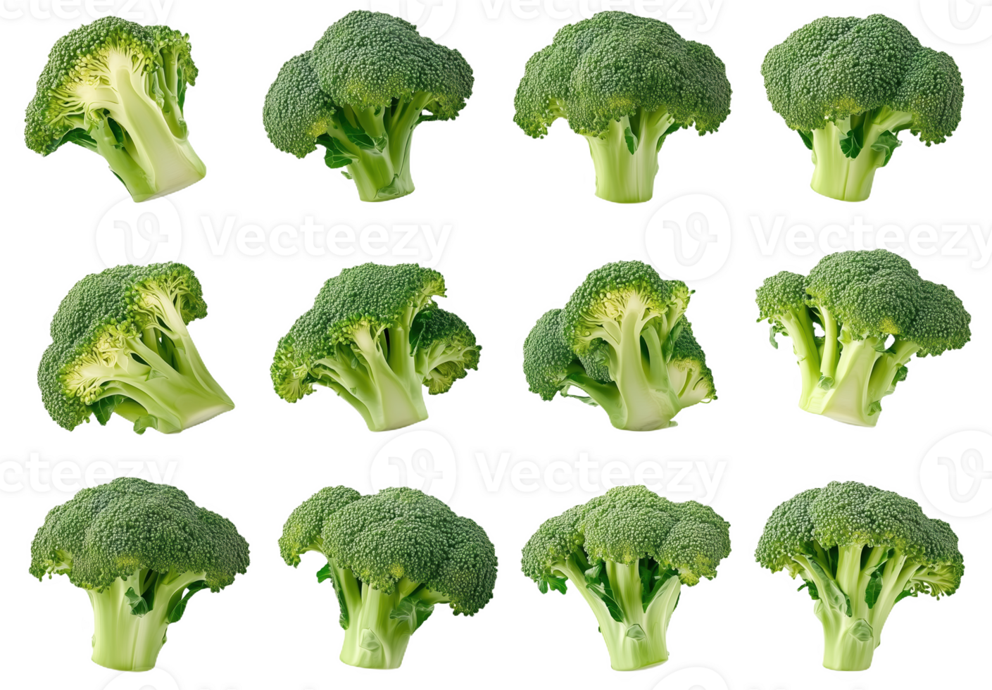 A vibrant display of broccoli florets showcases their rich green hue and intricate texture png