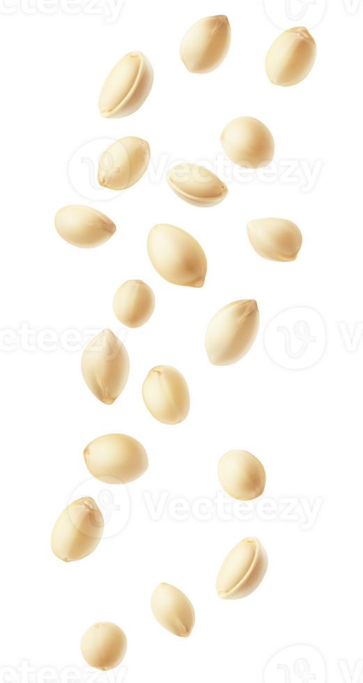 Scattered peanut shells creating a whimsical layout backdrop png