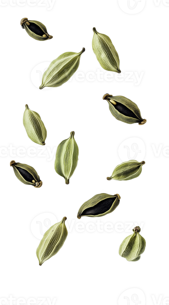 Explore the unique beauty of green and black cardamom seeds light png