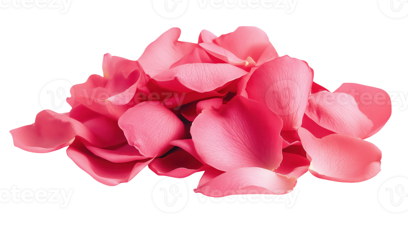 A delicate pile of soft pink rose petals resting elegantly pristine png