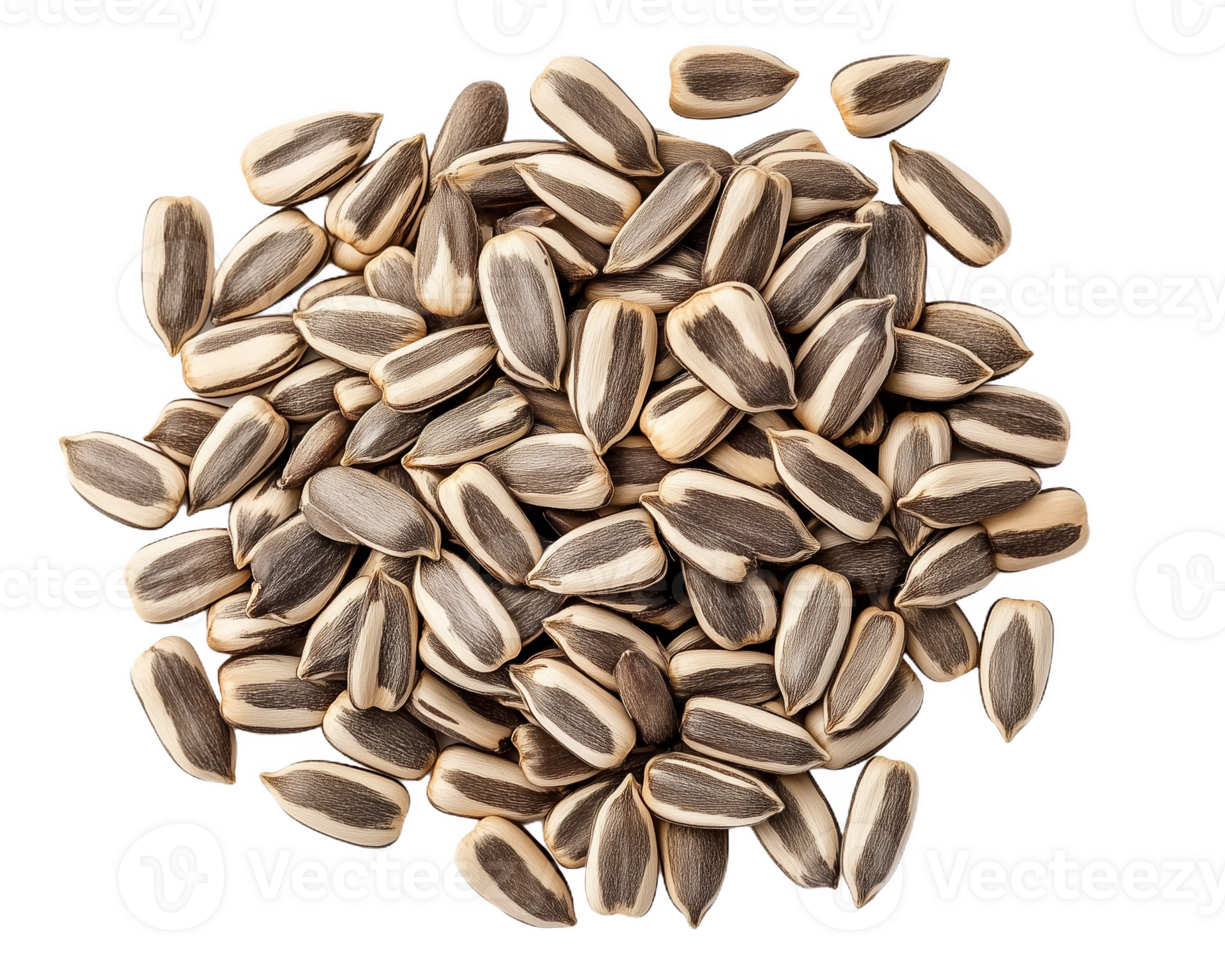 A vibrant collecti of sunflower seeds beautifully arranged crisp png