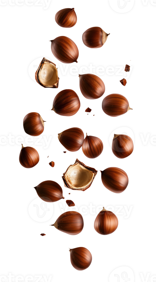 Chestnuts fall from above, highlighting nature's bounty bright backdrop png