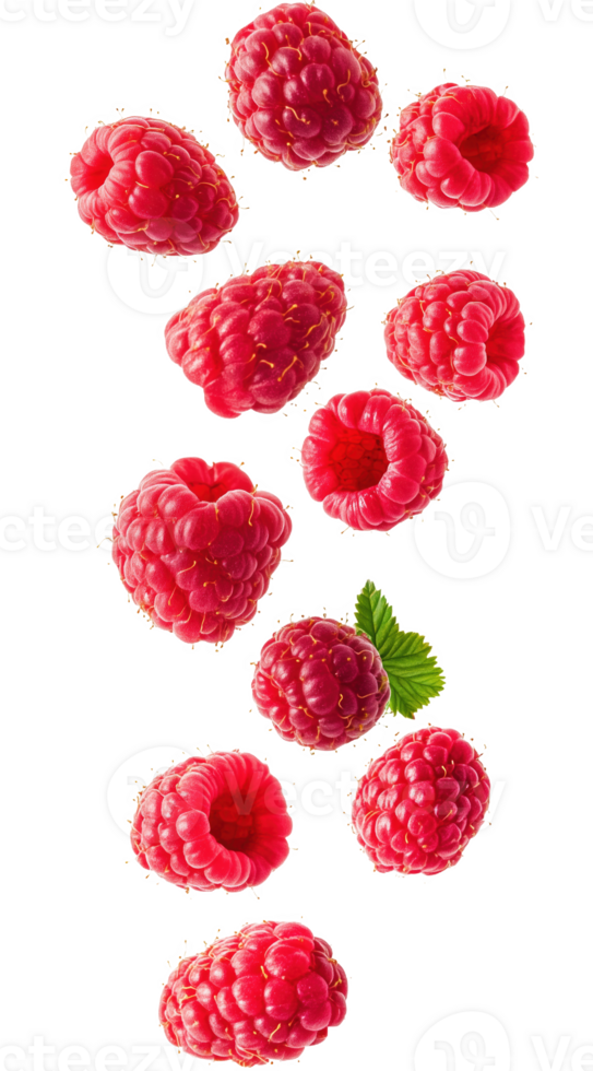 Fresh raspberries cascading artistically backdrop png