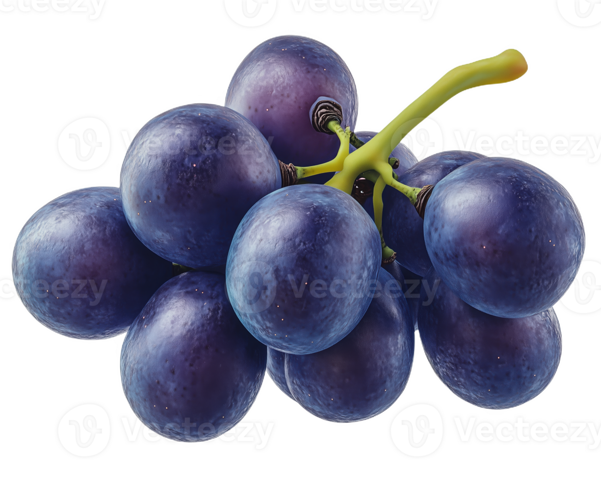 A cluster of deep purple grapes with a vibrant green stem png