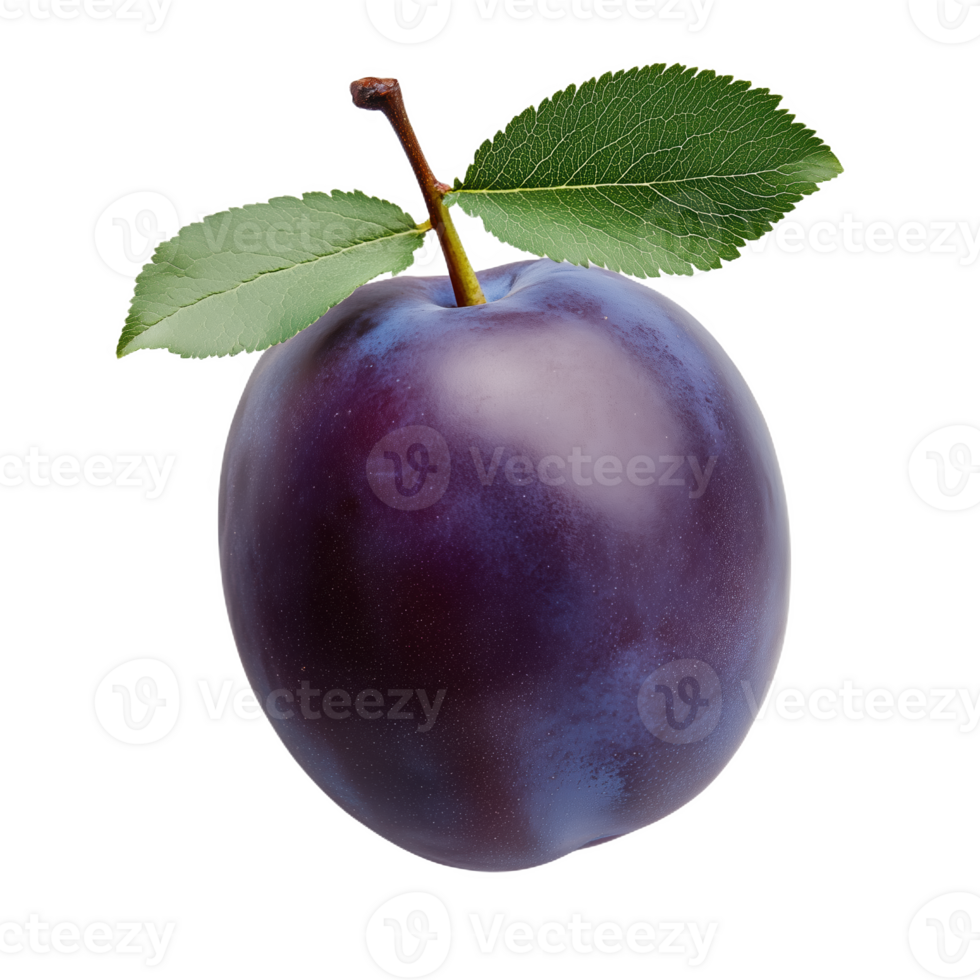 Freshly picked purple plum with green leaves pristine png