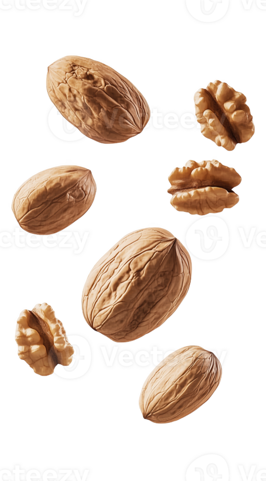 Floating walnuts create an artistic display minimalist png