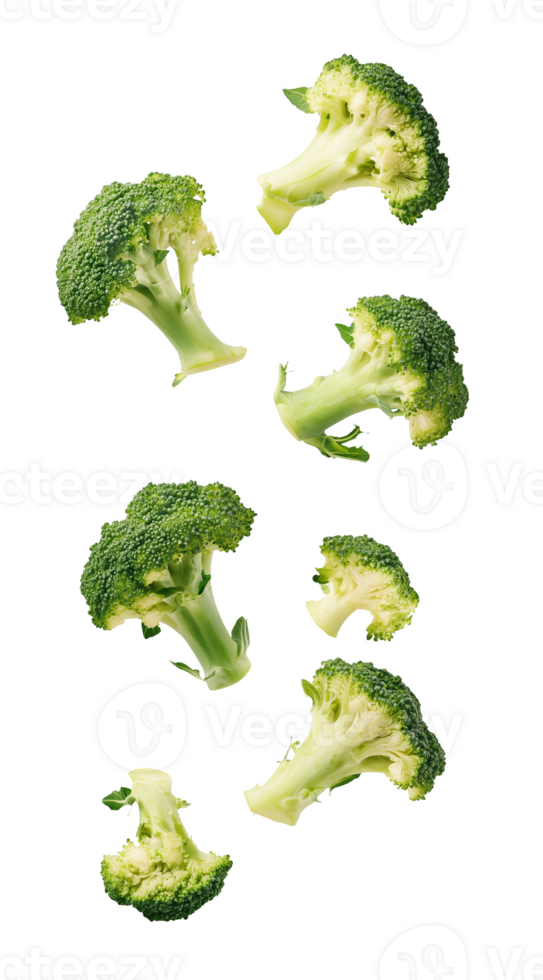 Broccoli florets gracefully suspended in mid-air blank backdrop png