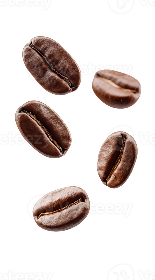 Exquisite coffee beans scattered gracefully png