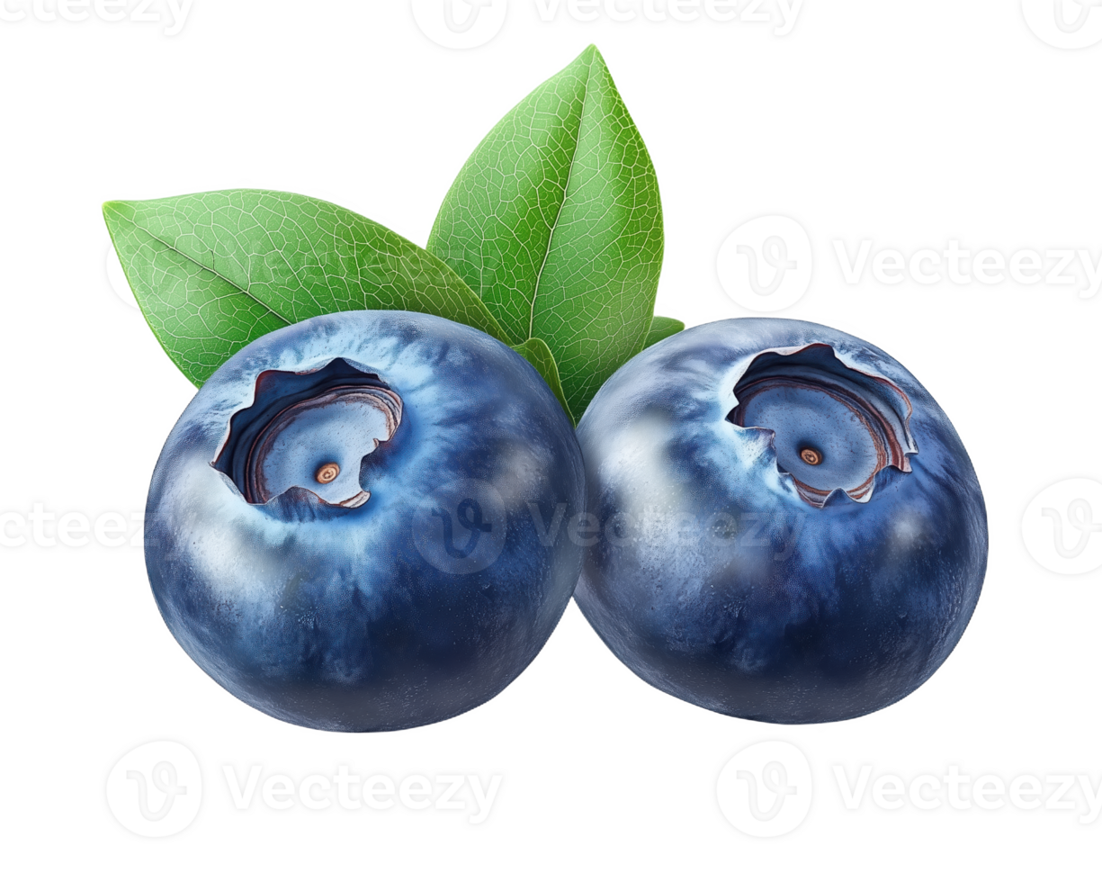Fresh blueberries nestled amg vibrant green leaves png