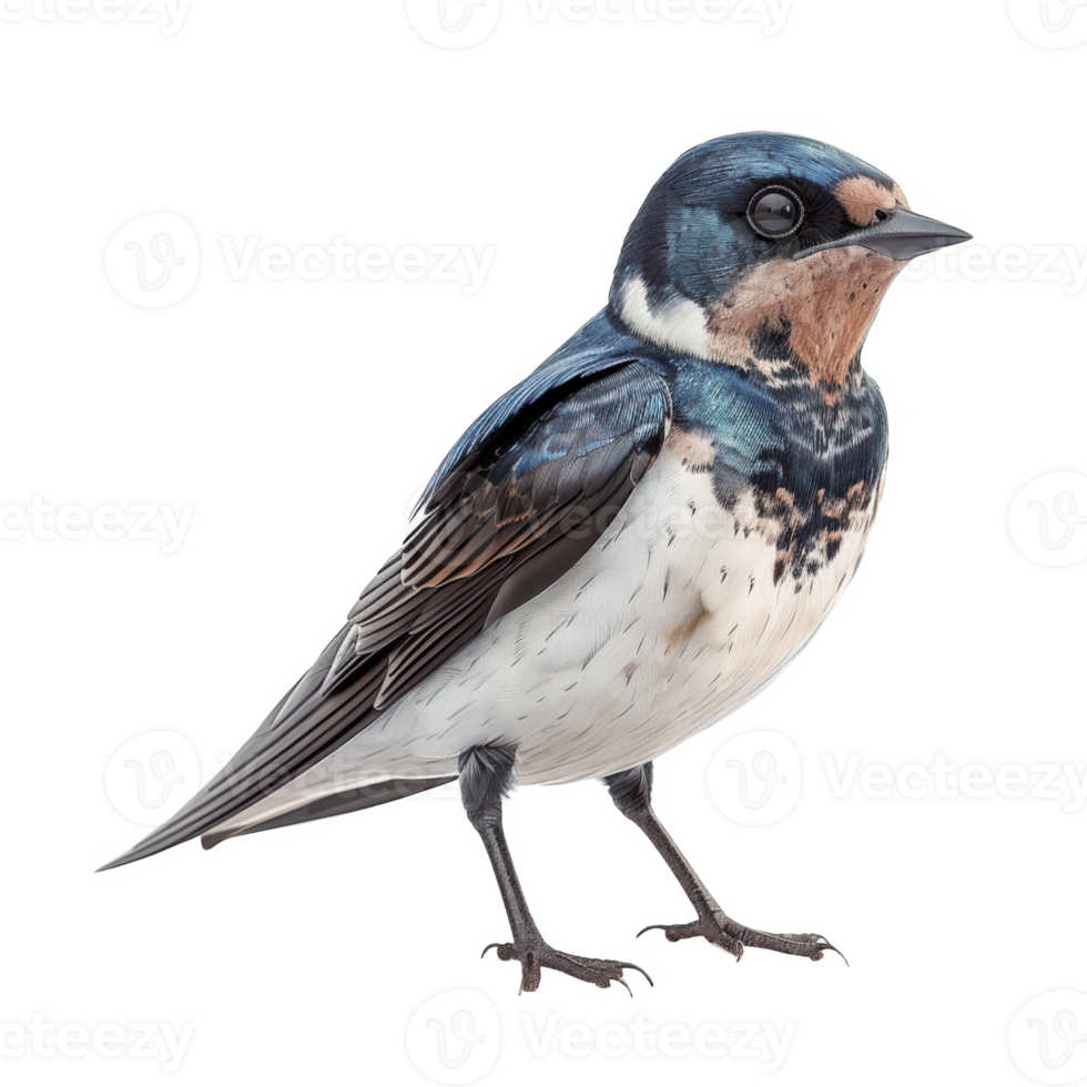A standing frosted glass white acrylic representation of a vividly colored bird png