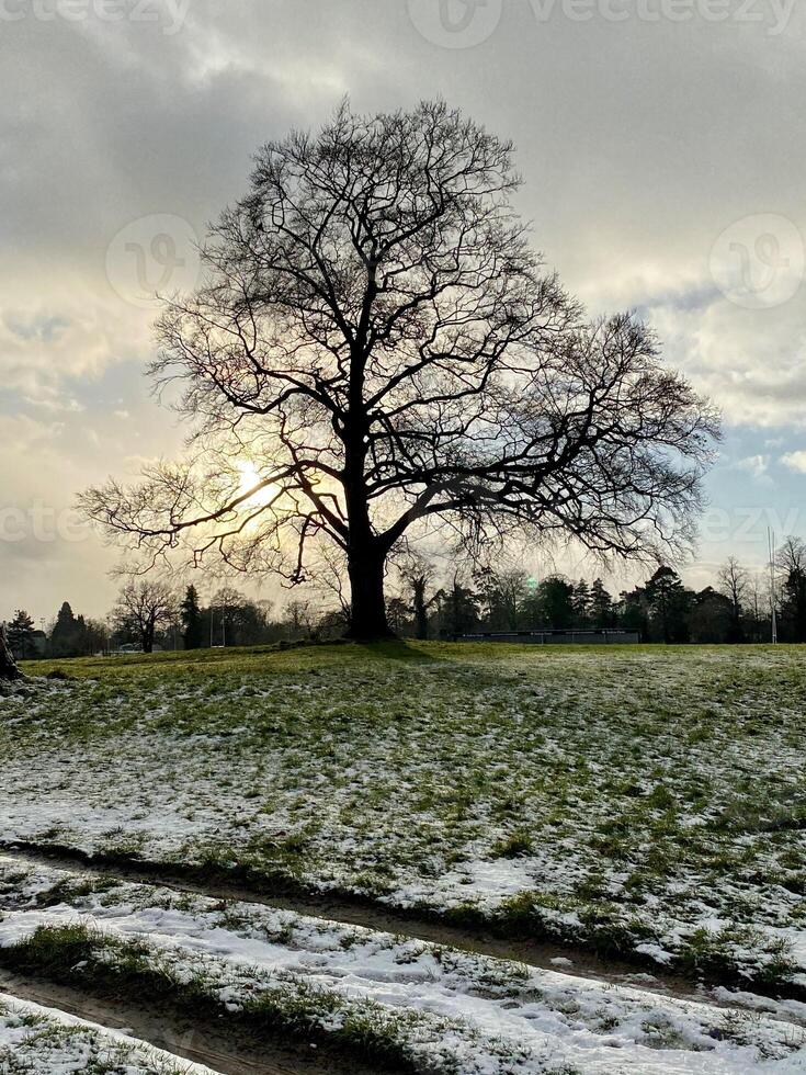 A lone person sitting on a bench in a field photo
