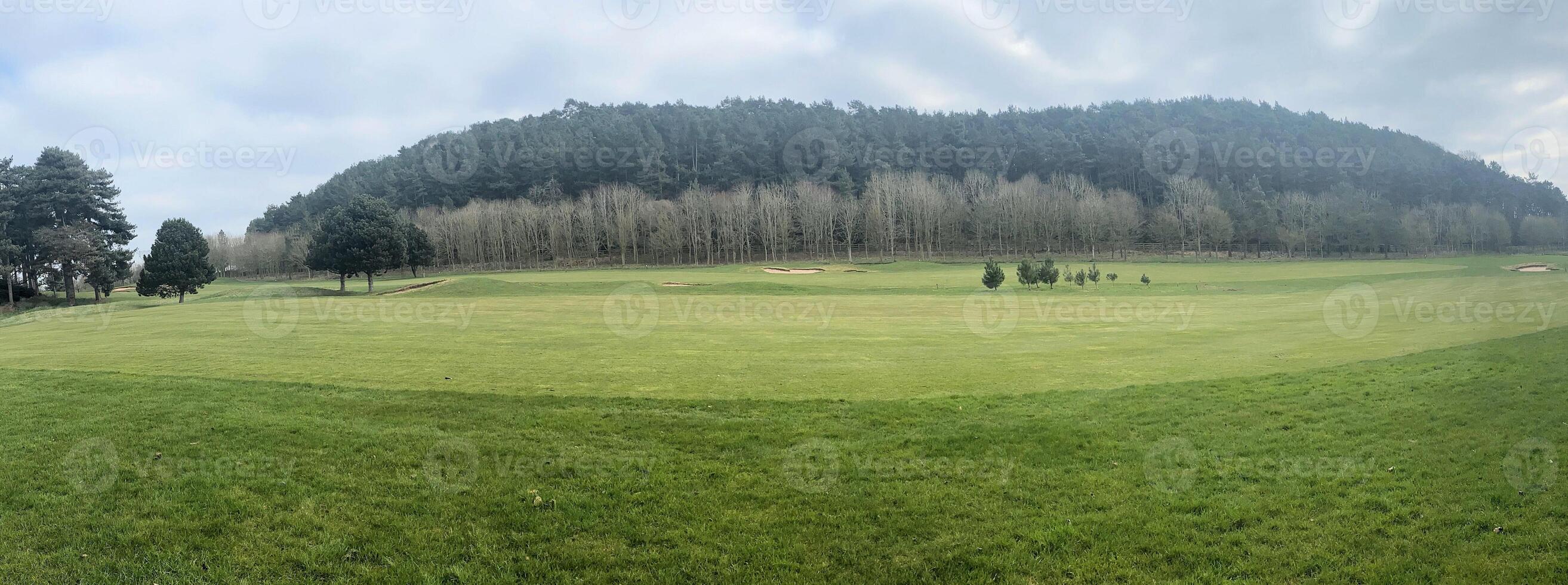 A golf course with trees and grass photo