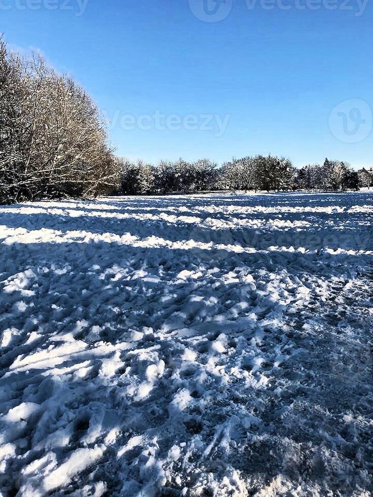 A field covered in snow with trees and blue sky photo
