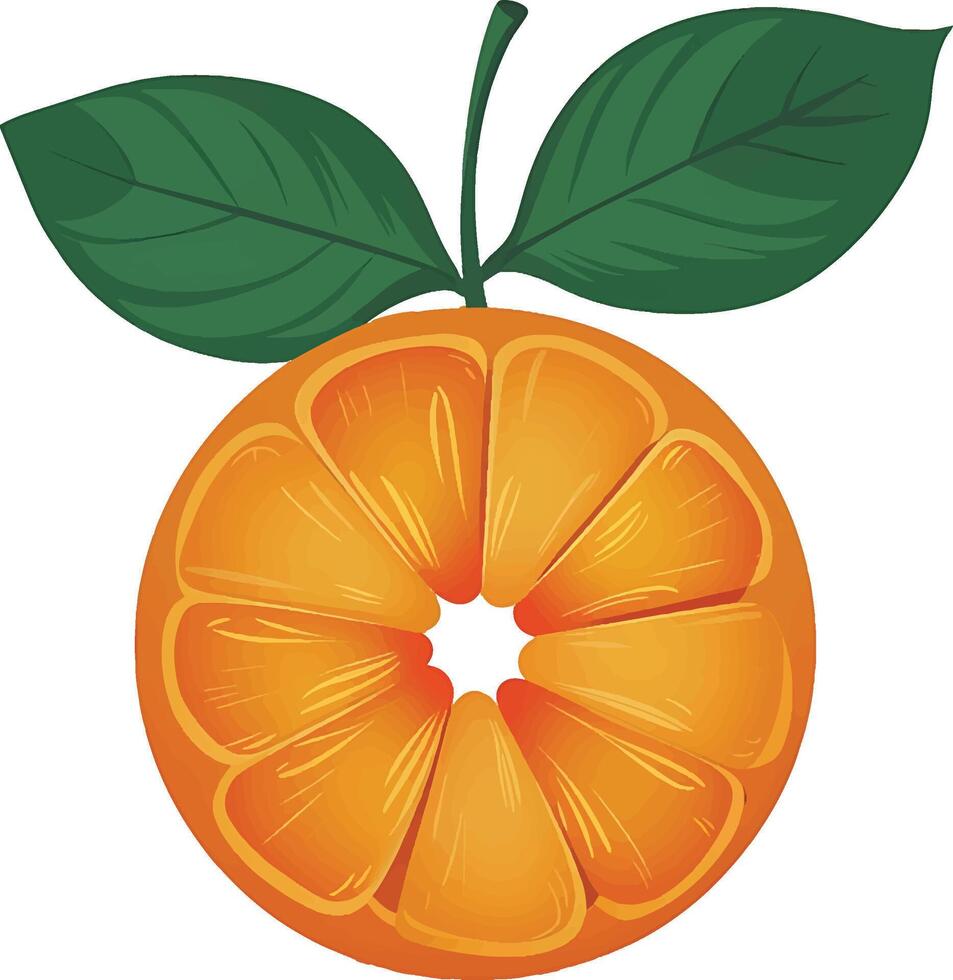 Simple Orange with Leaves Art vector