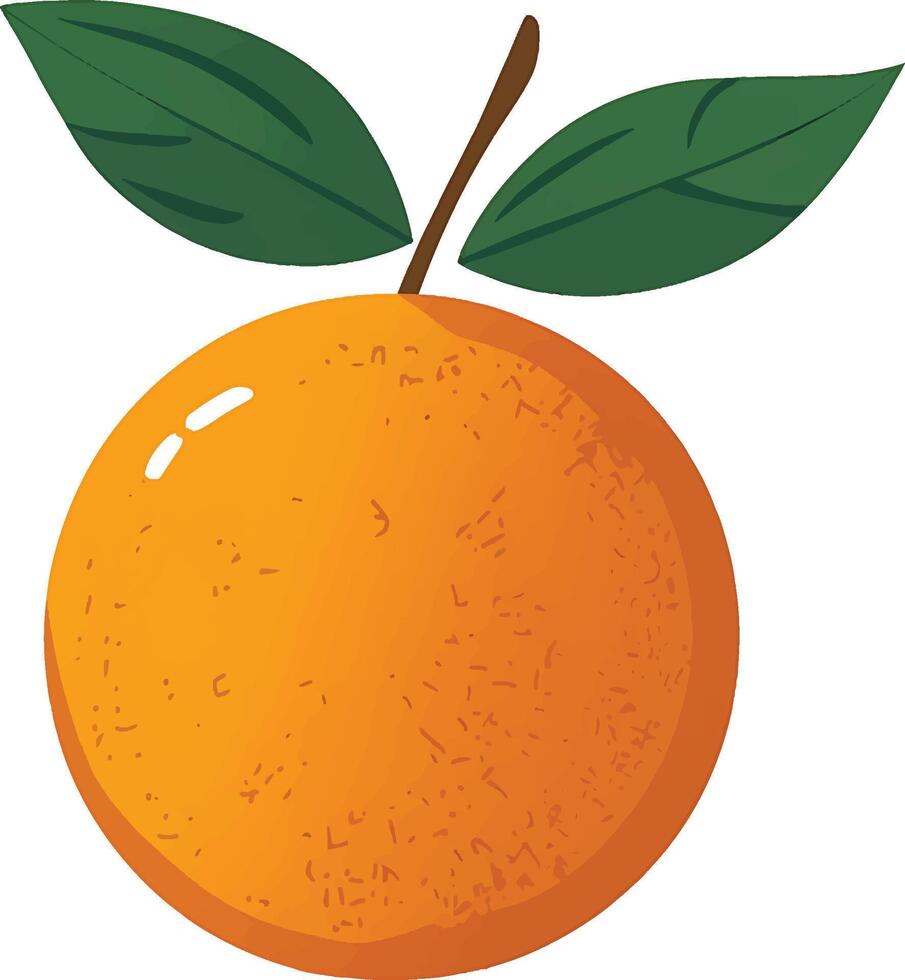 Fresh Orange with Leaves vector