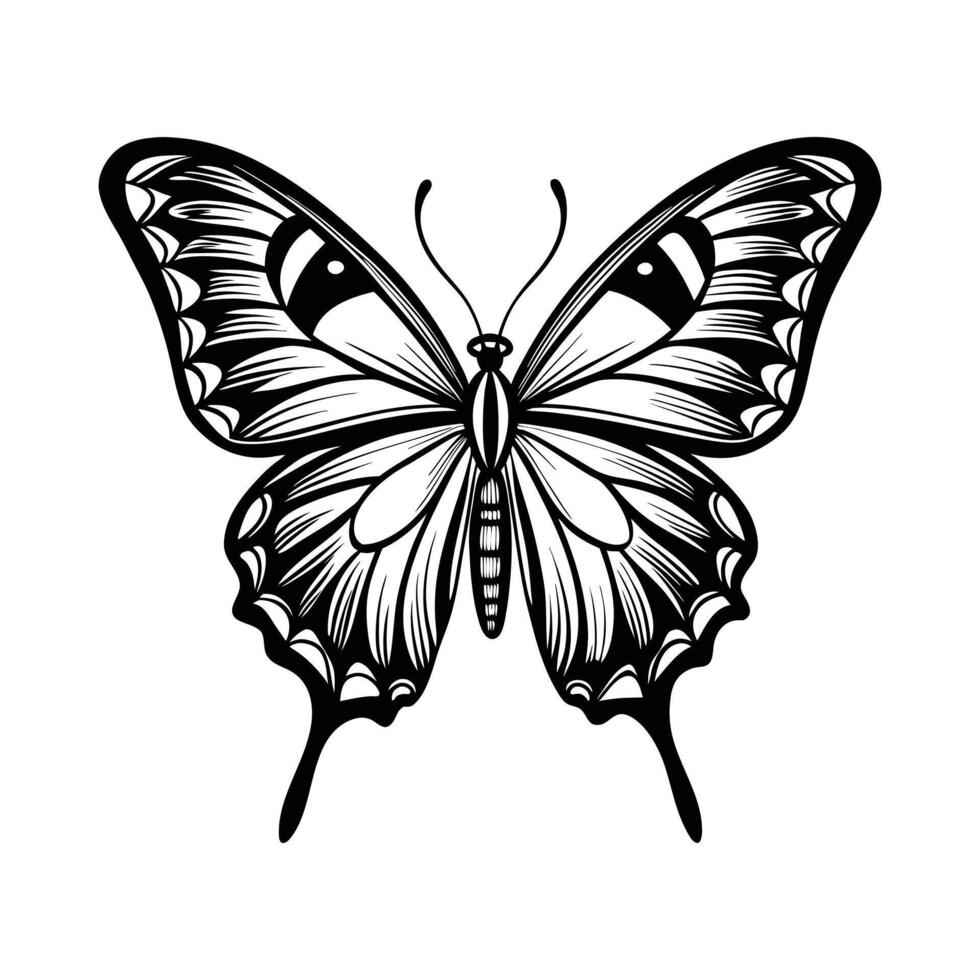 A black and white butterfly on a white background vector