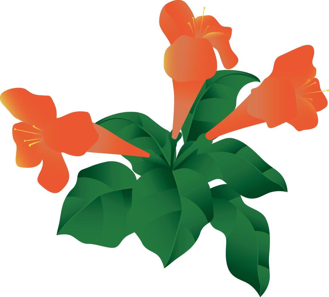 A Close-Up of Radiant Orange Flowers Surrounded by Lush Green Leaves, Bathed in Sunlight, Creating a Beautiful Natural Contrast vector