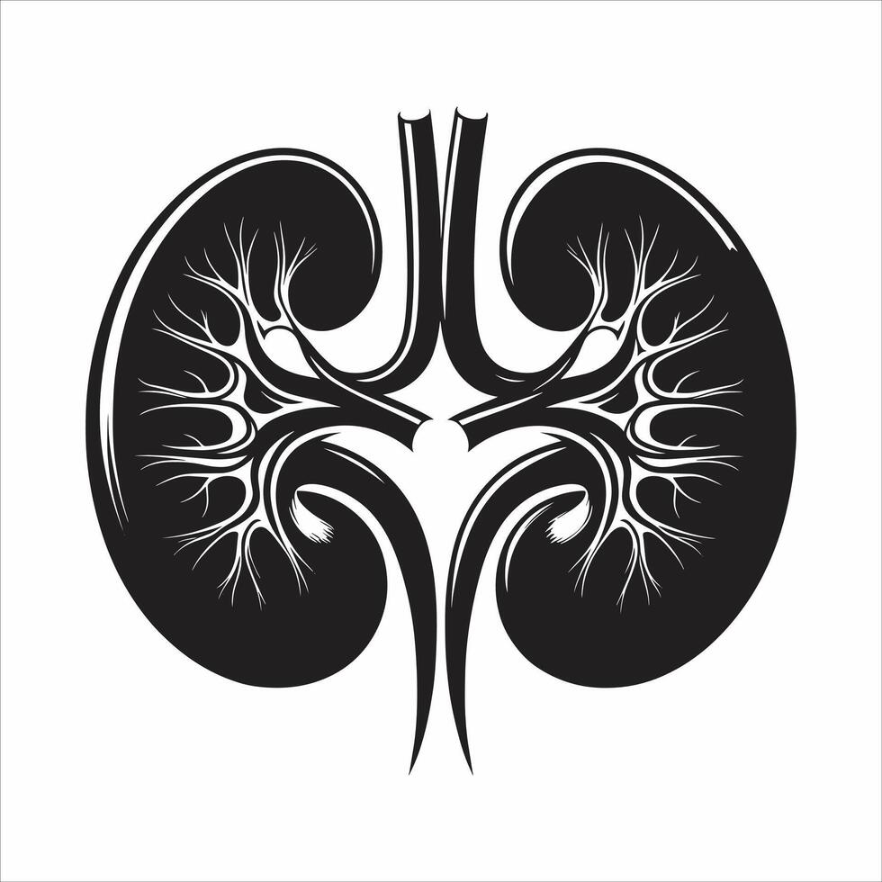 Silhouette For Internal Organs Of Kidney Icon Symbol Logo Black And White Illustration vector