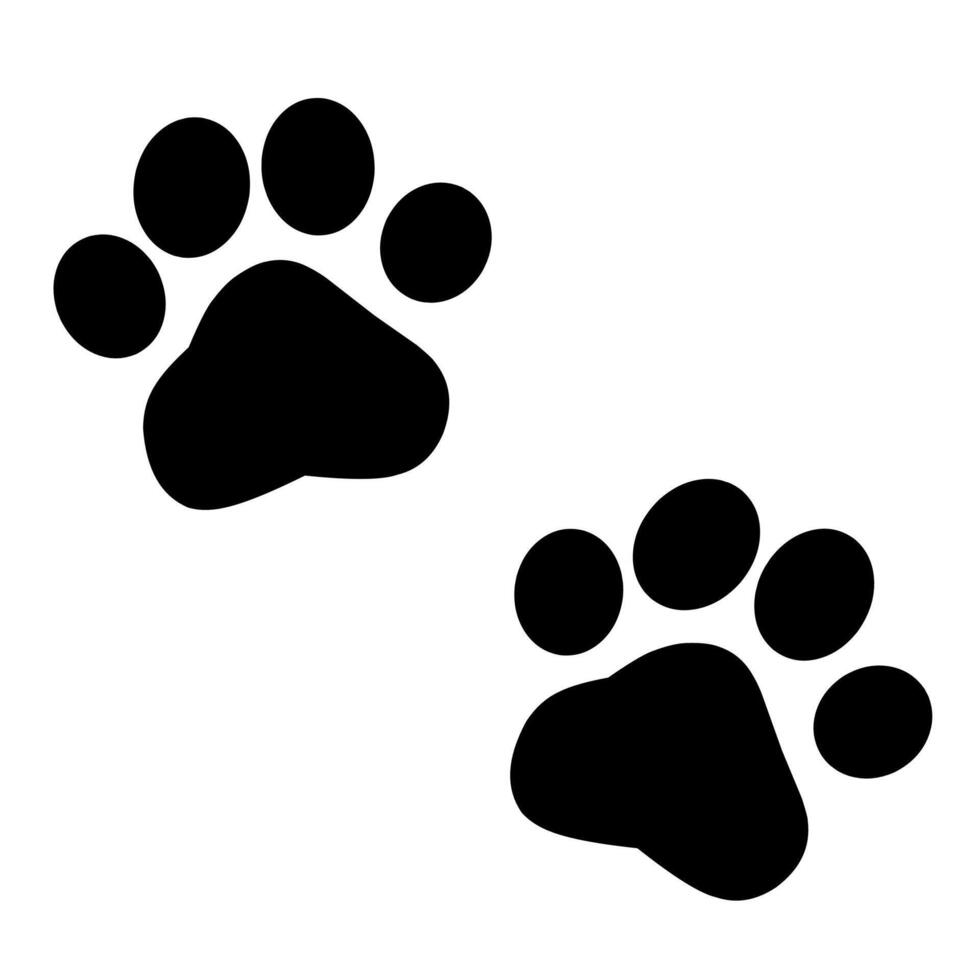 a large number of paw prints are shown vector