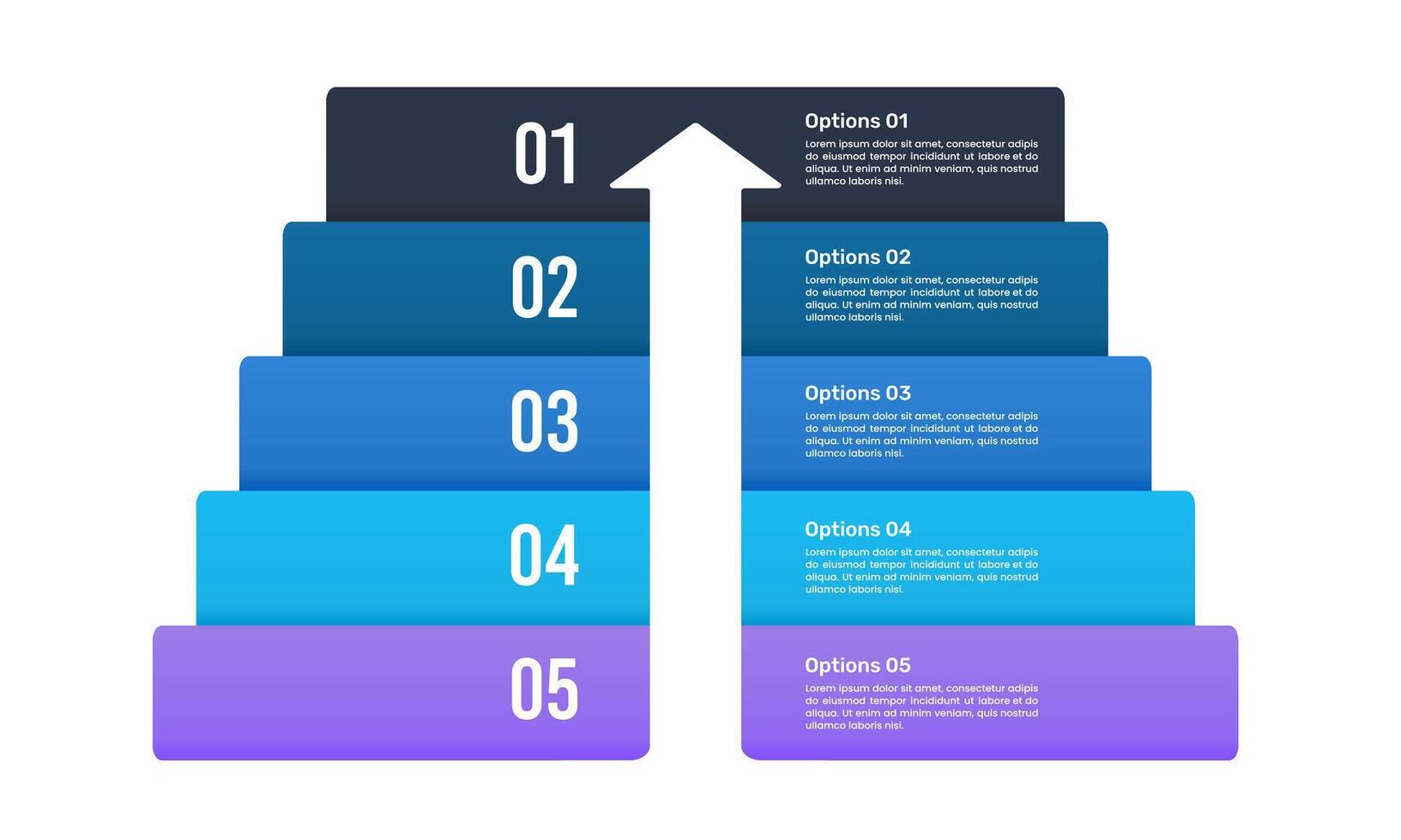 5 Steps to success infographic design template. Business Plan, Report, Marketing, Banner, Strategy and Presentation. vector