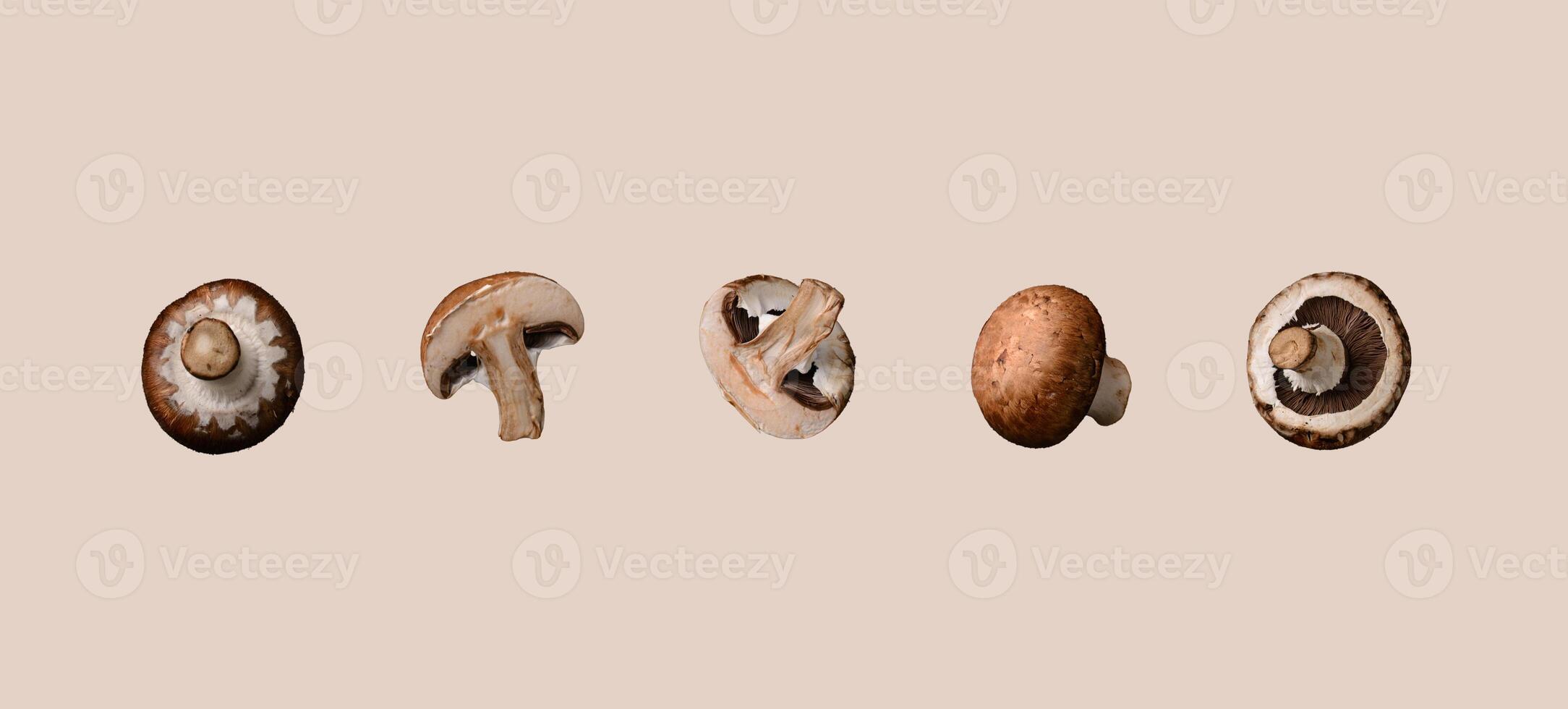 Champignon mushrooms. Pattern collage isolated photo