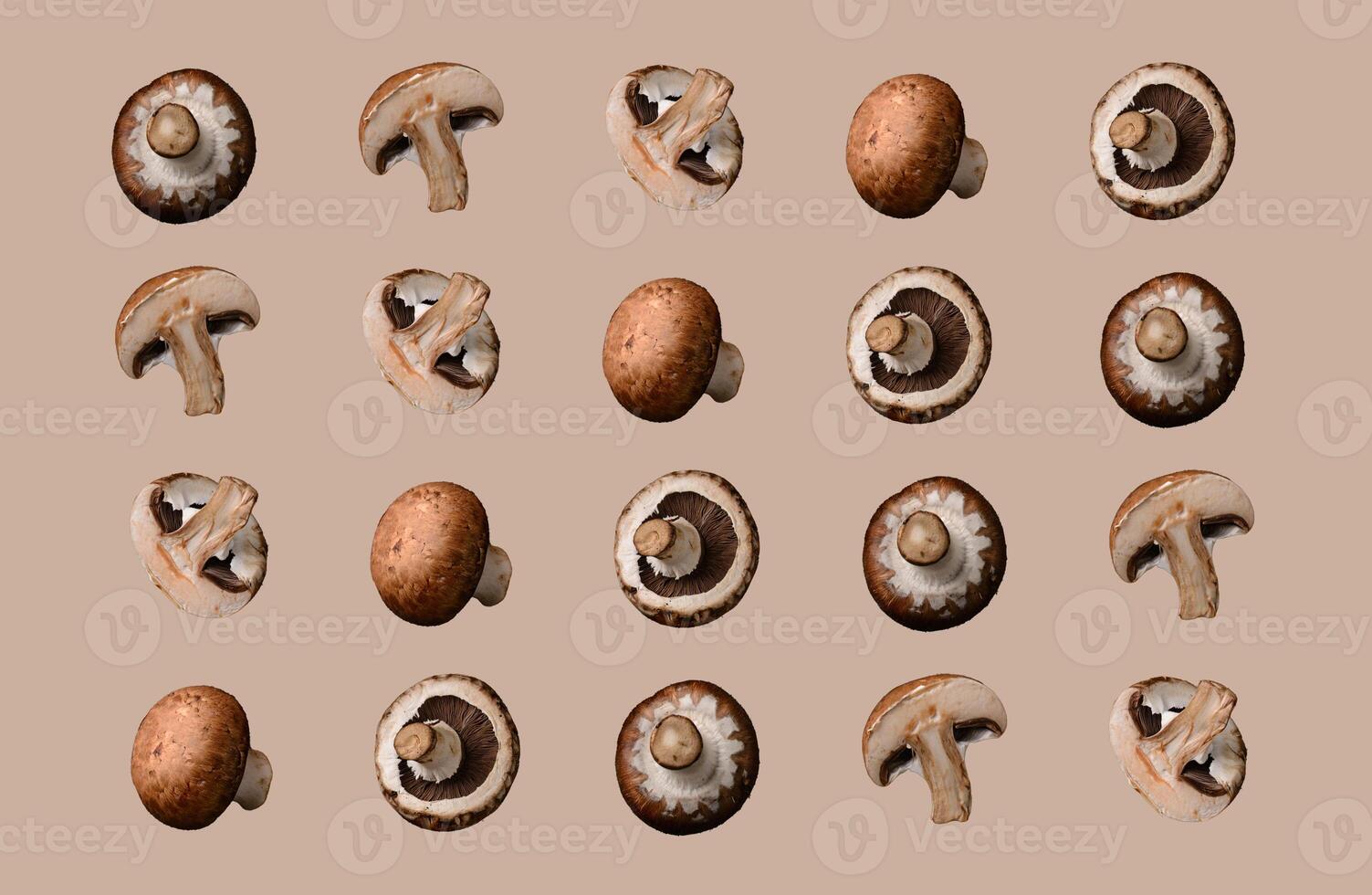 Champignon mushrooms. Pattern collage isolated photo