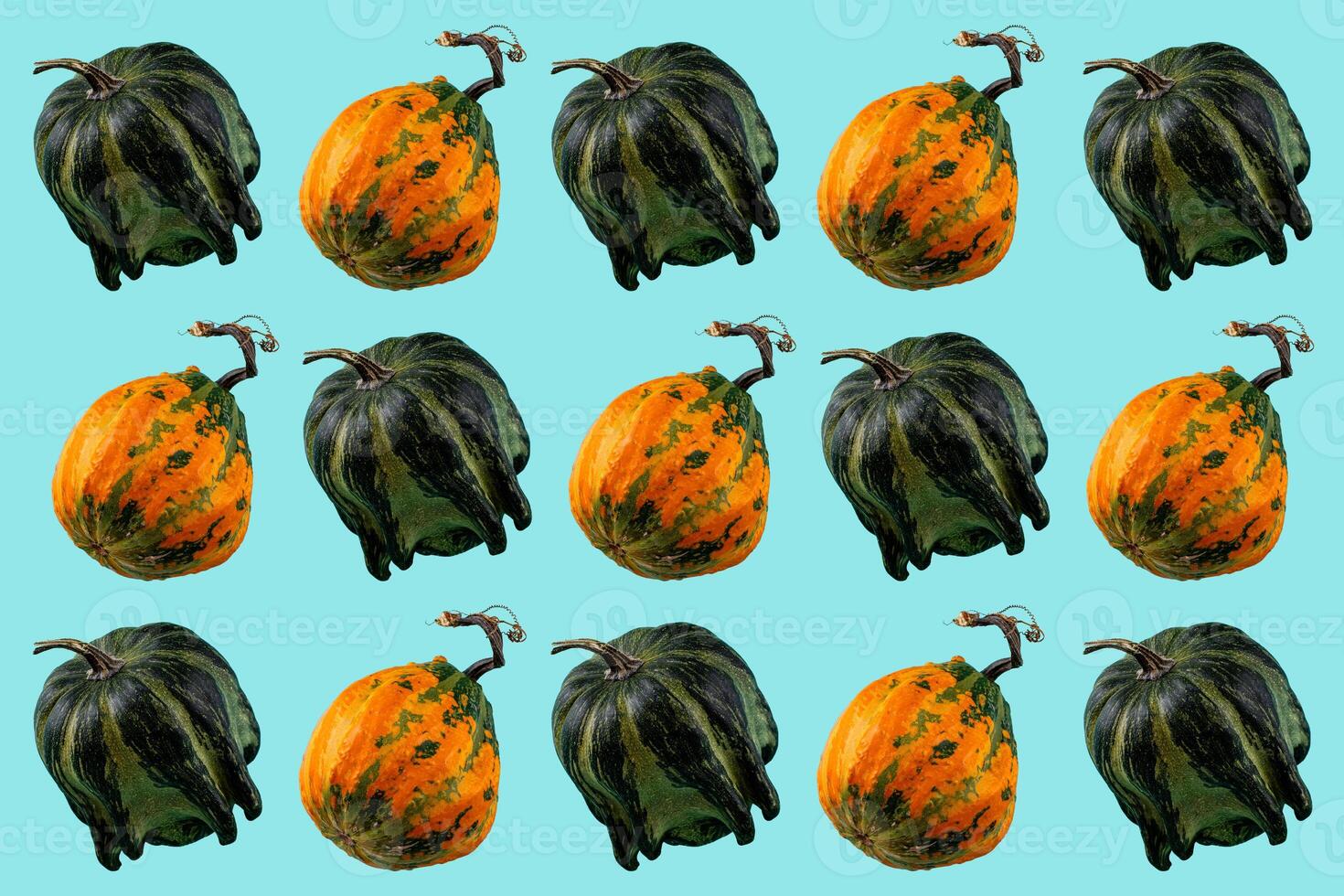 Pumpkin isolated on color background. Pattern collage photo