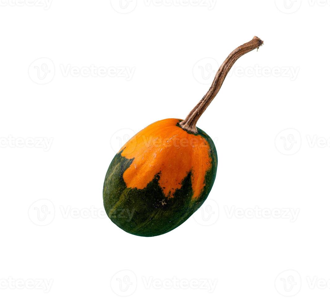 Decorative pumpkin isolated on white background photo