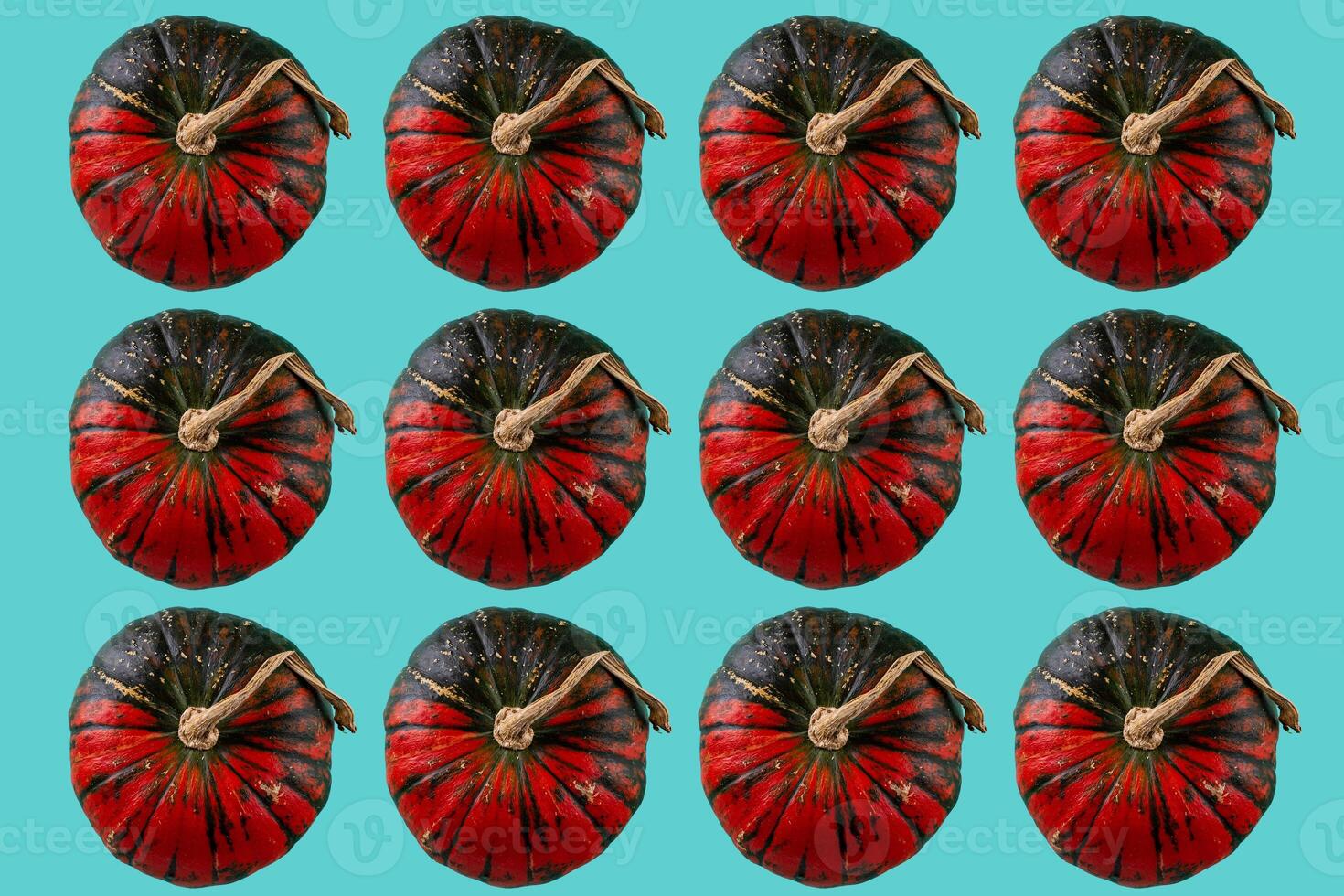 Decorative pumpkin isolated on color background. photo