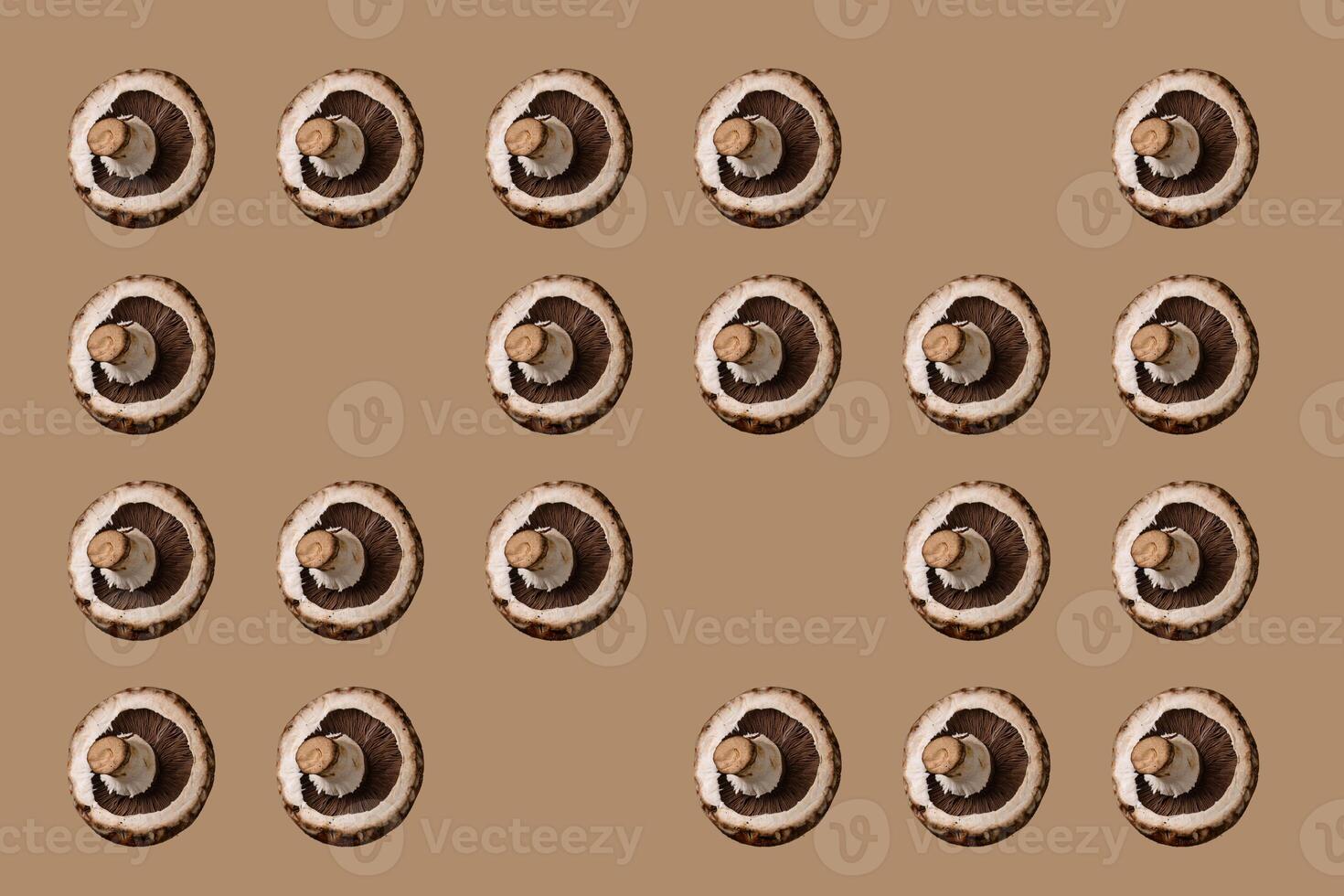 Raw uncooked champignon mushrooms isolated photo