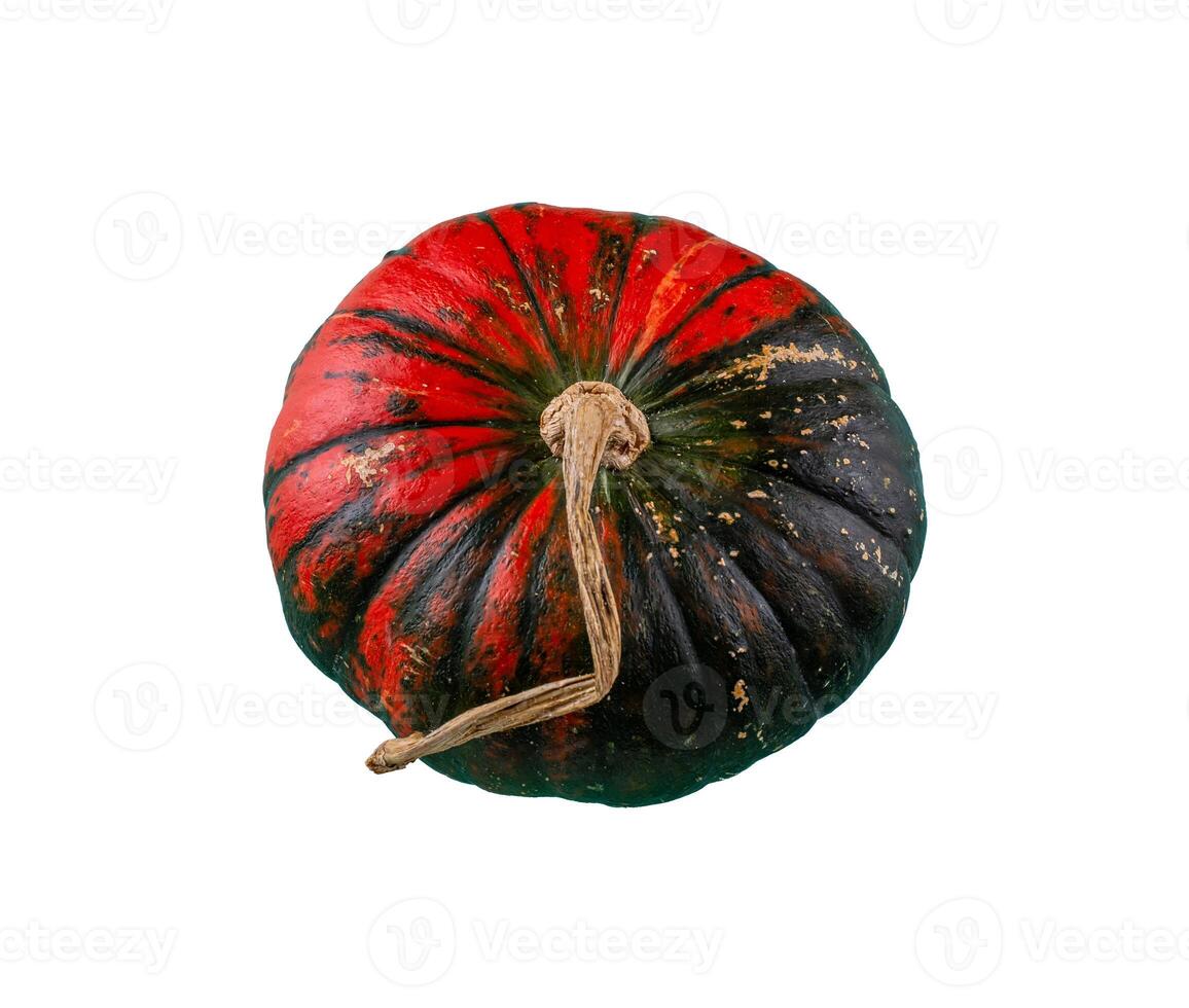 Decorative pumpkin isolated on white background photo