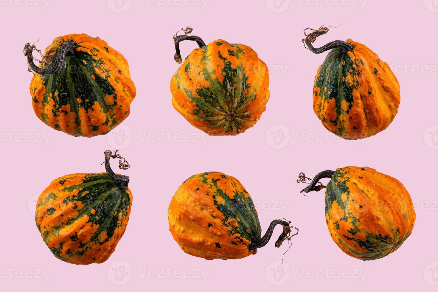 Pumpkin isolated on color background. Pattern collage photo