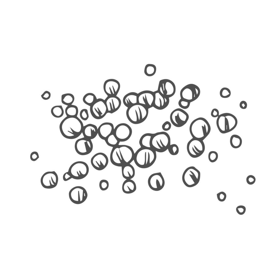 Line art mustard seeds illustration in doodle style vector