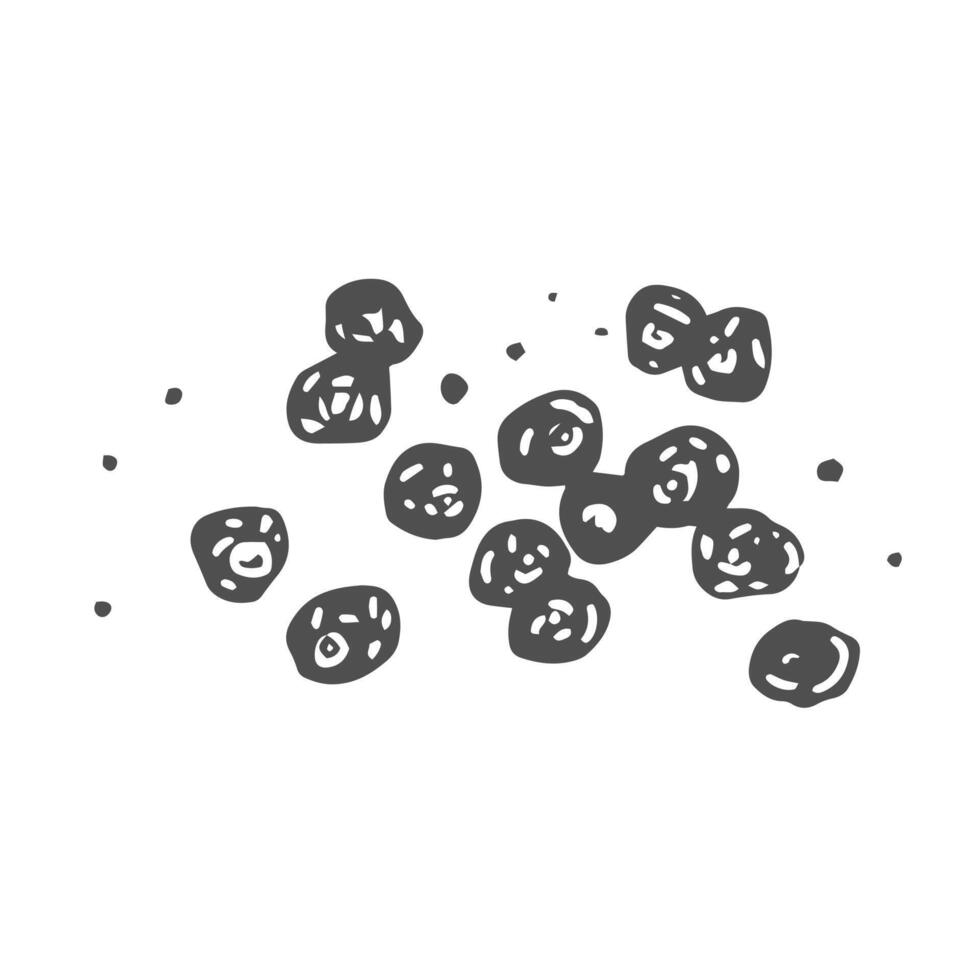 Black pepper seasoning. Hand drawn ink sketch. Vintage style. vector