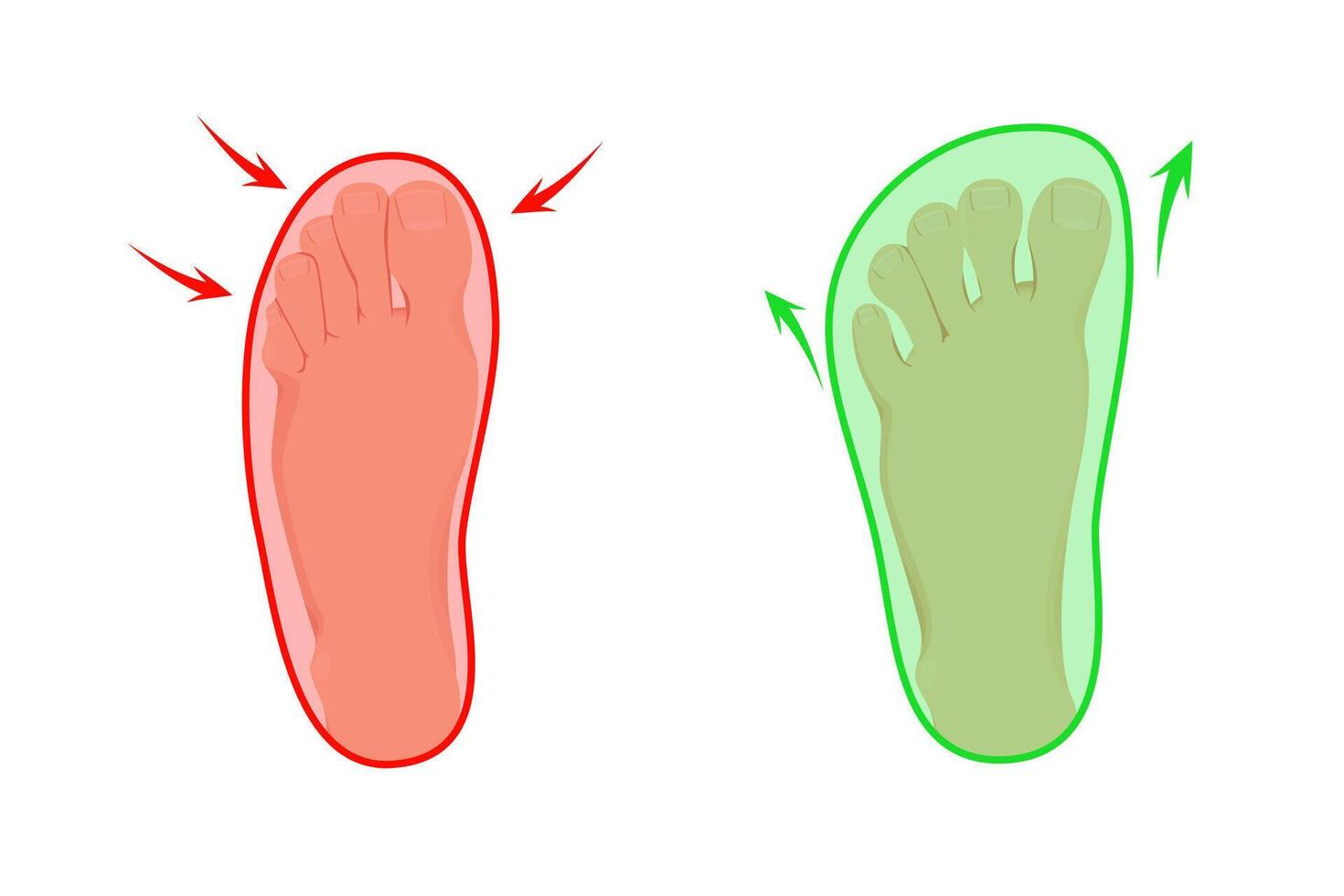 Compare regular vs barefoot shoes. Orthopedic comfortable shoes for adult and children. vector
