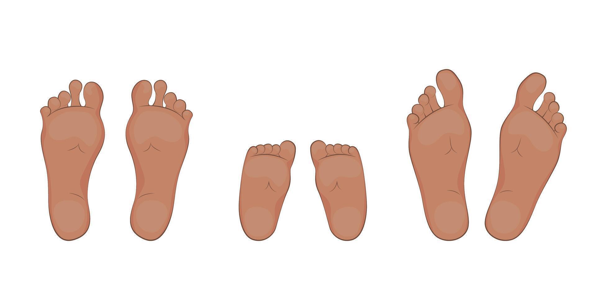 A baby, mom and dad soles. feet, sole, body part. vector