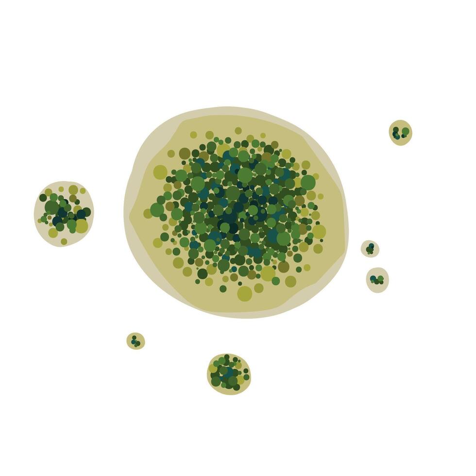Aspergillus mold isolated on white background. Fungus realistic close up design vector