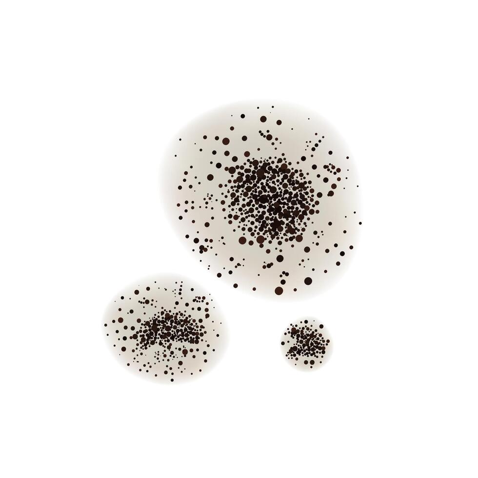Chaetomium mold isolated on white background. Fungus realistic close up design vector