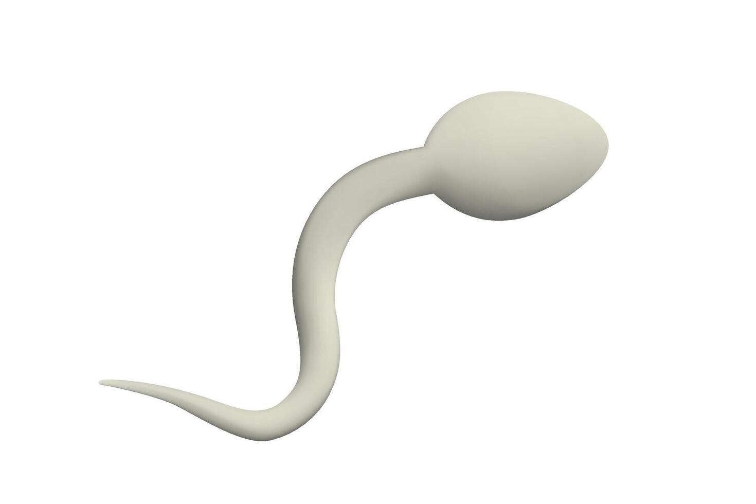 3D white sperm design. Single magnified realistic spermatozoon, human reproduction and fertility. vector