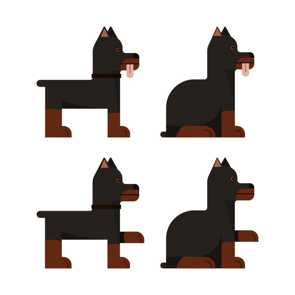 Set of flat icons with doberman. Pedigree dog. Sitting and standing. vector