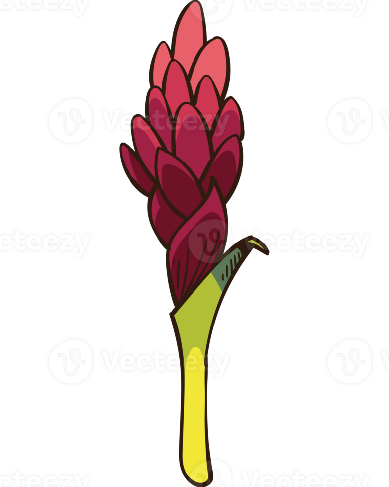A red flower with green leaves png